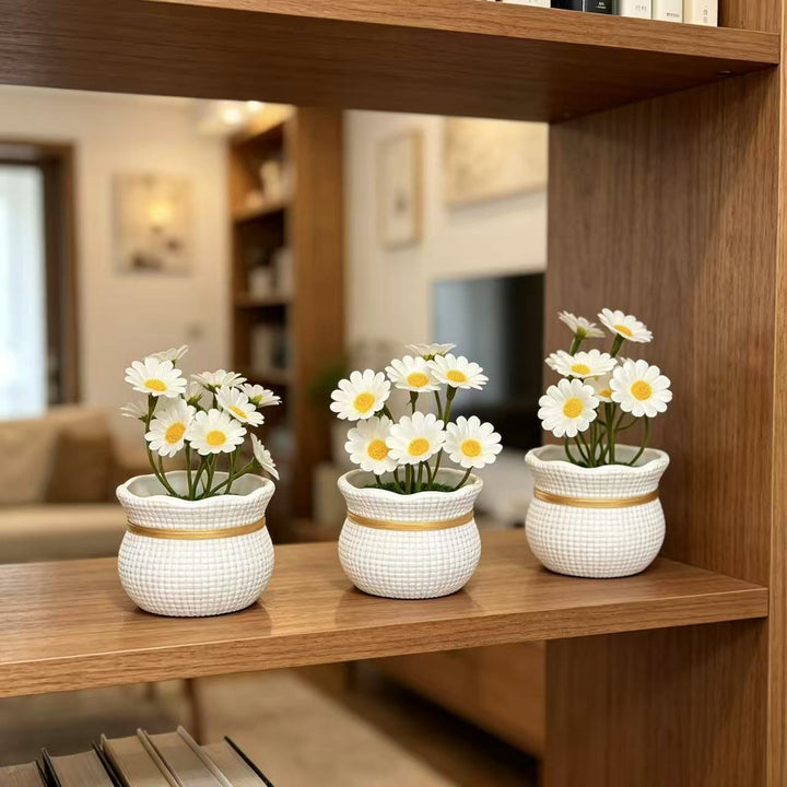 Decorative Miniature Daisy Pots
