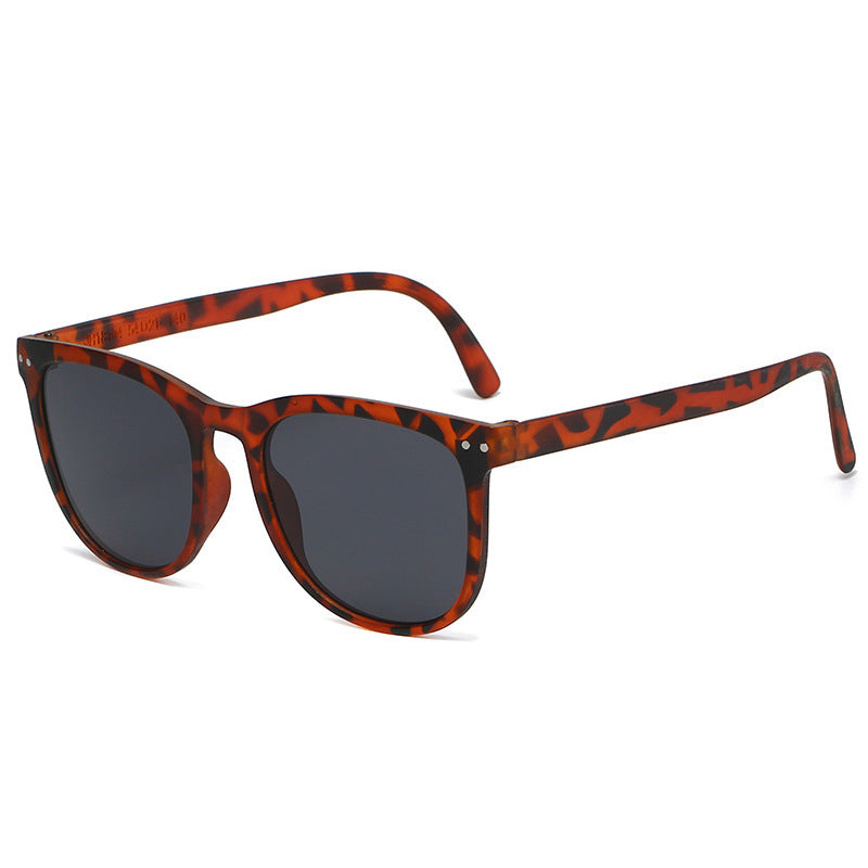 Ladies Fashion Tortoiseshell Sunglasses with Stylish Frame Stornfield