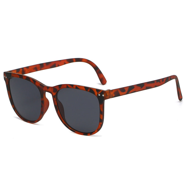 Ladies Fashion Tortoiseshell Sunglasses with Stylish Frame Stornfield