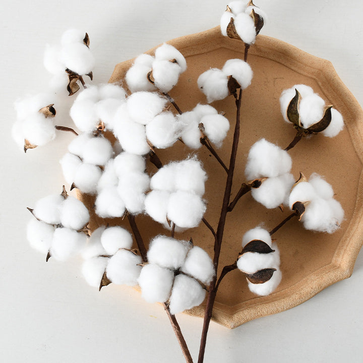 Decorative Cotton Branch Arrangement