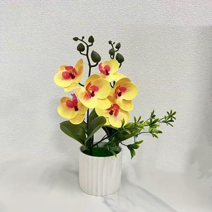 Elegant Floral Orchid Bouquet