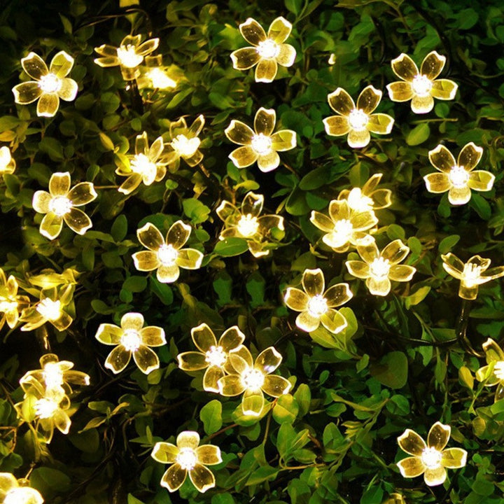 Globe LED String Lights With Waterproof Copper Wire And Textured Clear Bulbs Stornfield