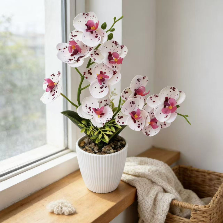 Artificial Orchid for Home Decor and Indoor Display