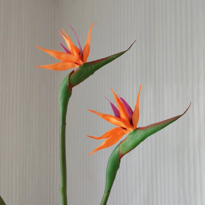 Decorative Bird of Paradise Stem