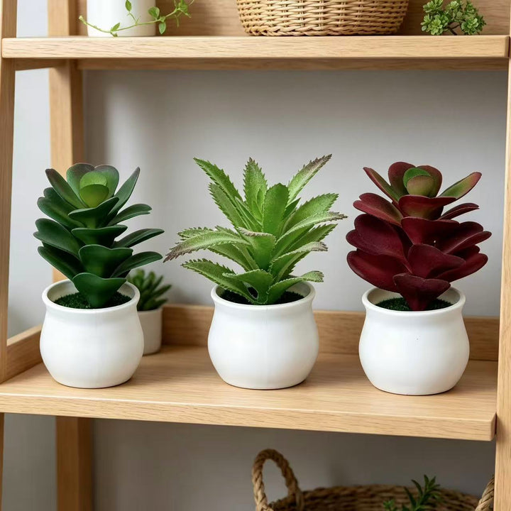 Faux Succulent Plant for Indoor Home Decor