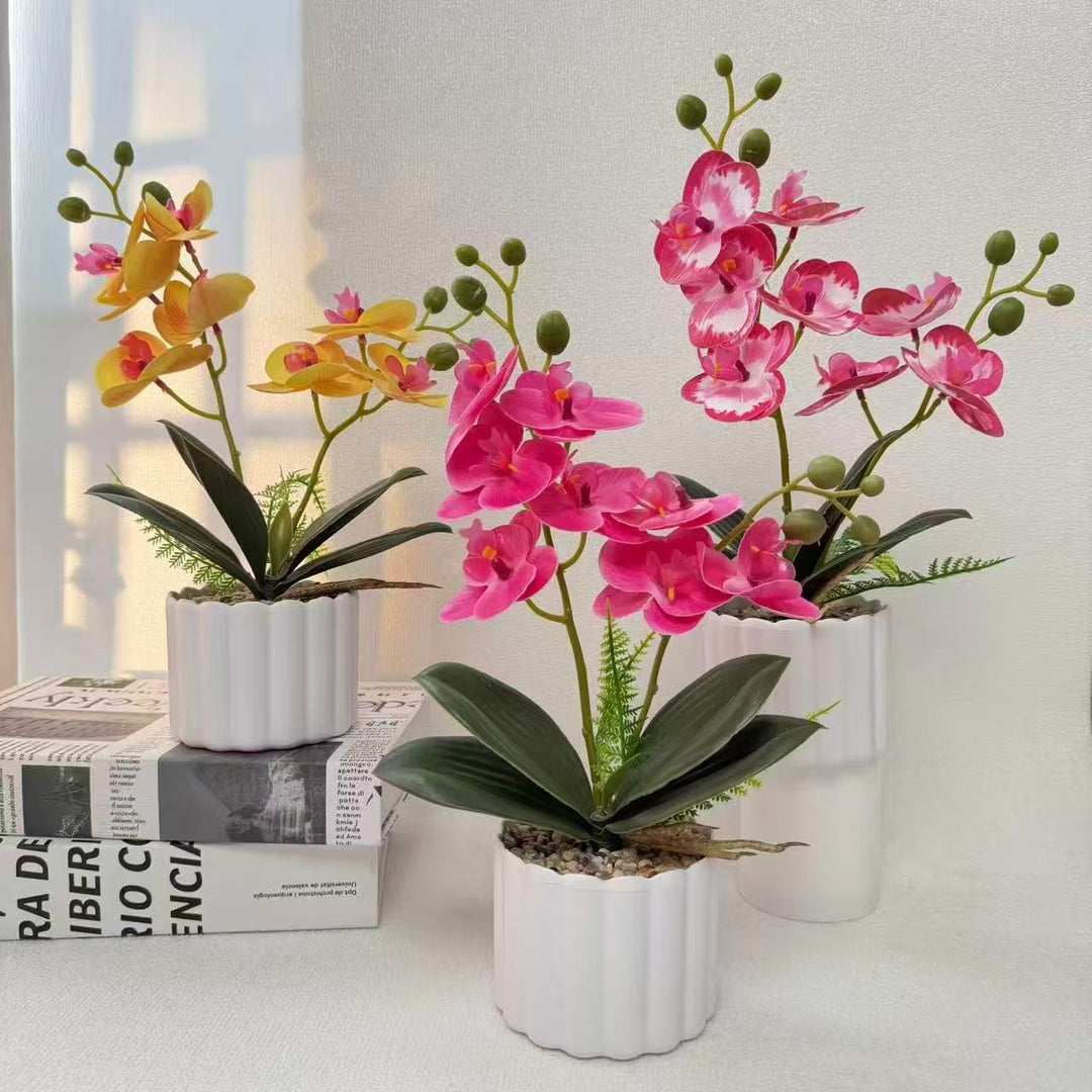 Home Decorative Artificial Orchid for Indoor Decorative Display