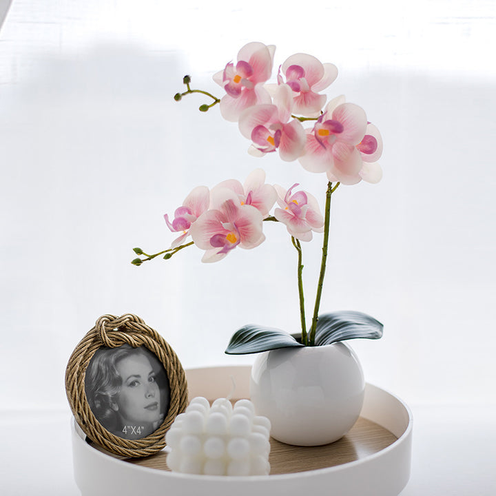 Decorative Orchid Arrangement
