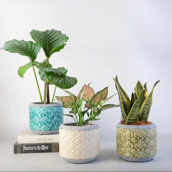 Flower pot Stornfield