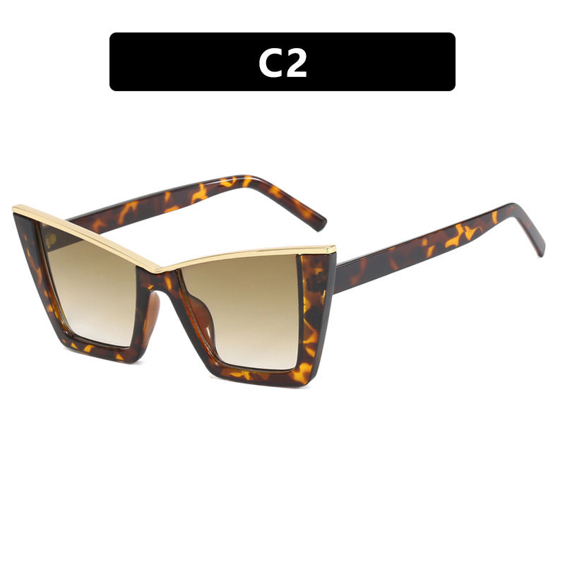 Women's fashionable sunglasses with a unique geometric frame Stornfield