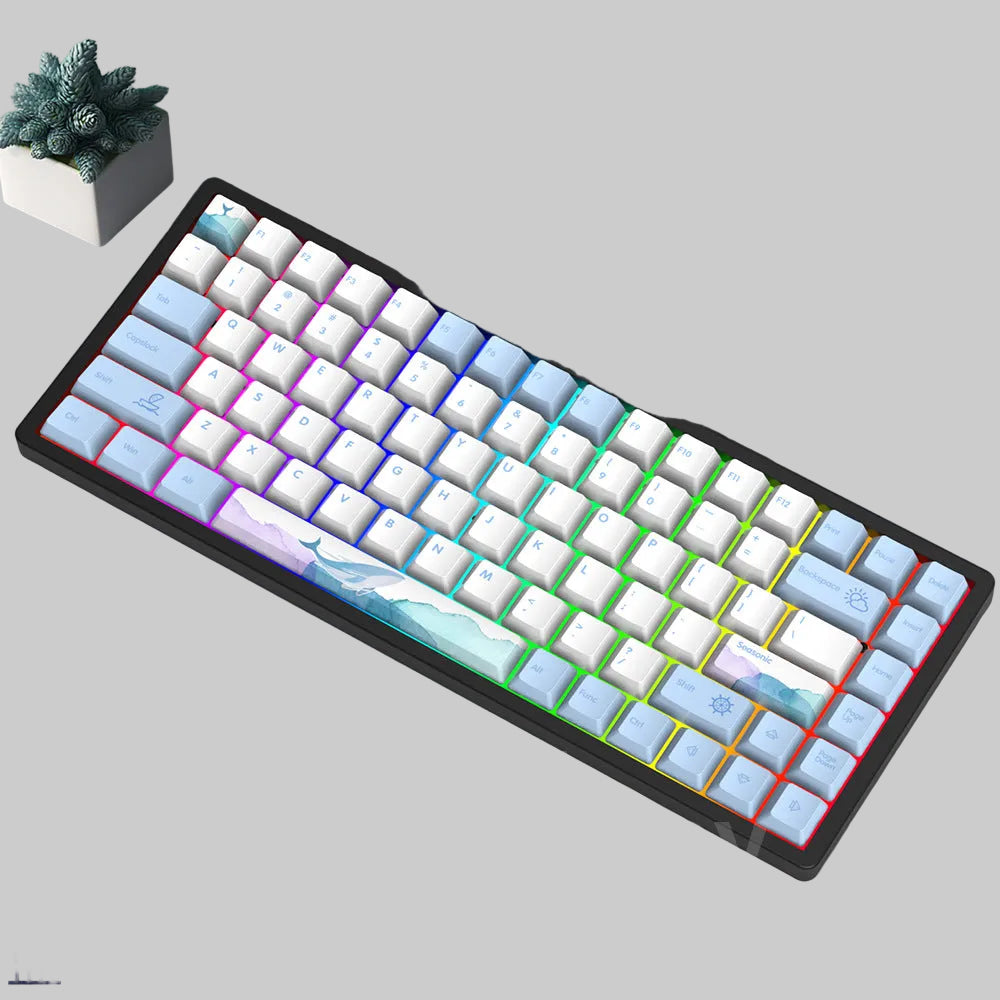 Wireless Gaming Mechanical Keyboard Stornfield