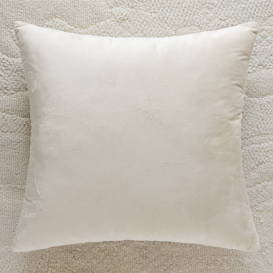 Cozy Velvet Decorative Pillow