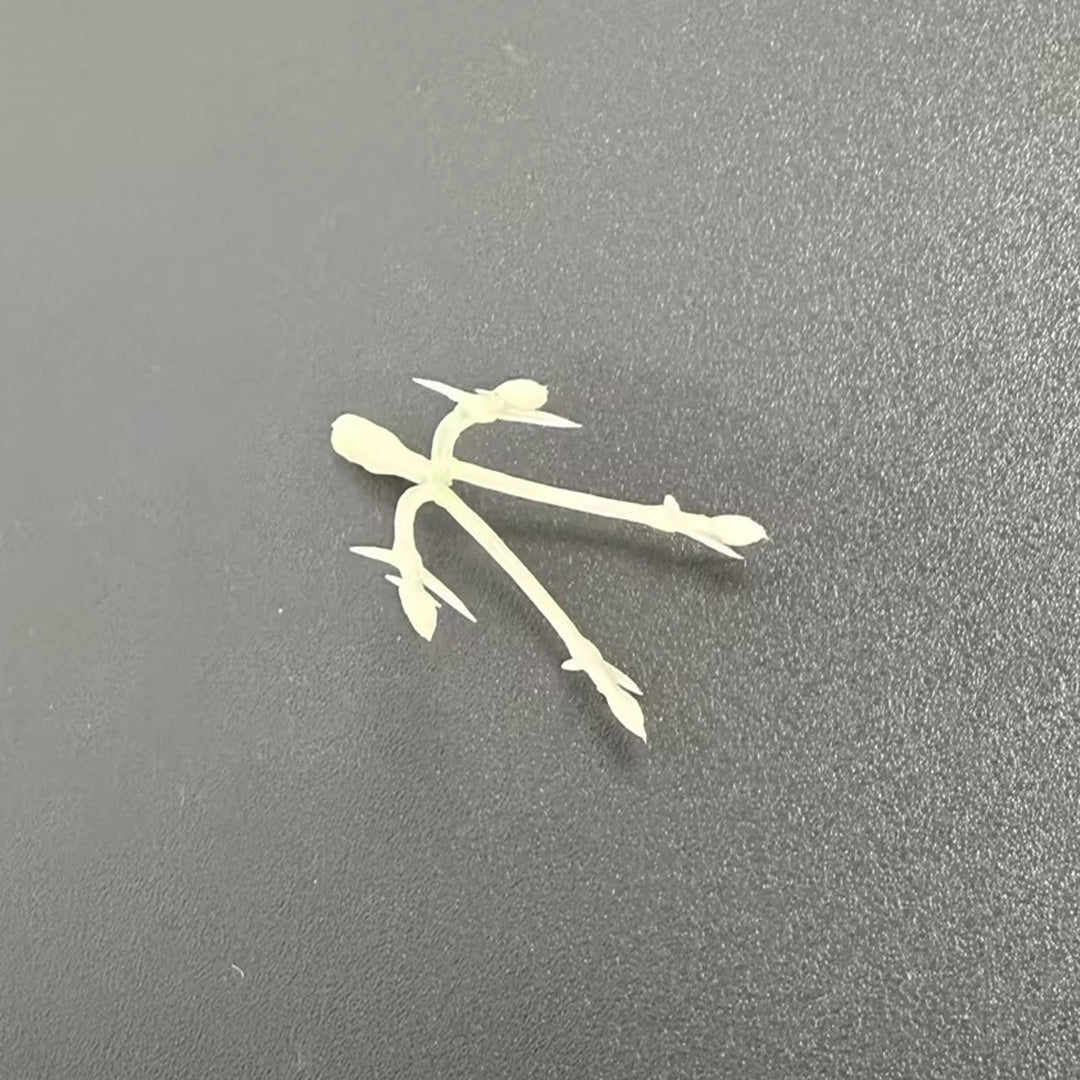 Decorative Plant Stem