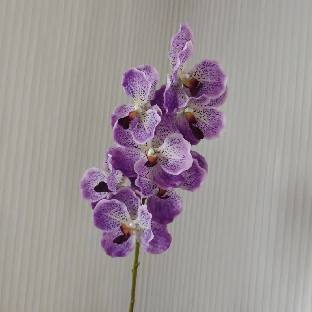 Realistic Orchid Stem
