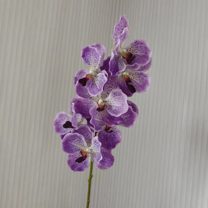 Realistic Orchid Stem