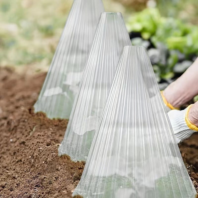 Plant protection hood Stornfield