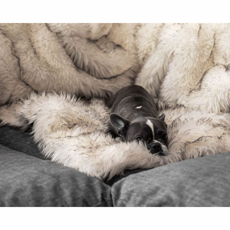 Unisex soft pet blanket with luxurious plush Stornfield