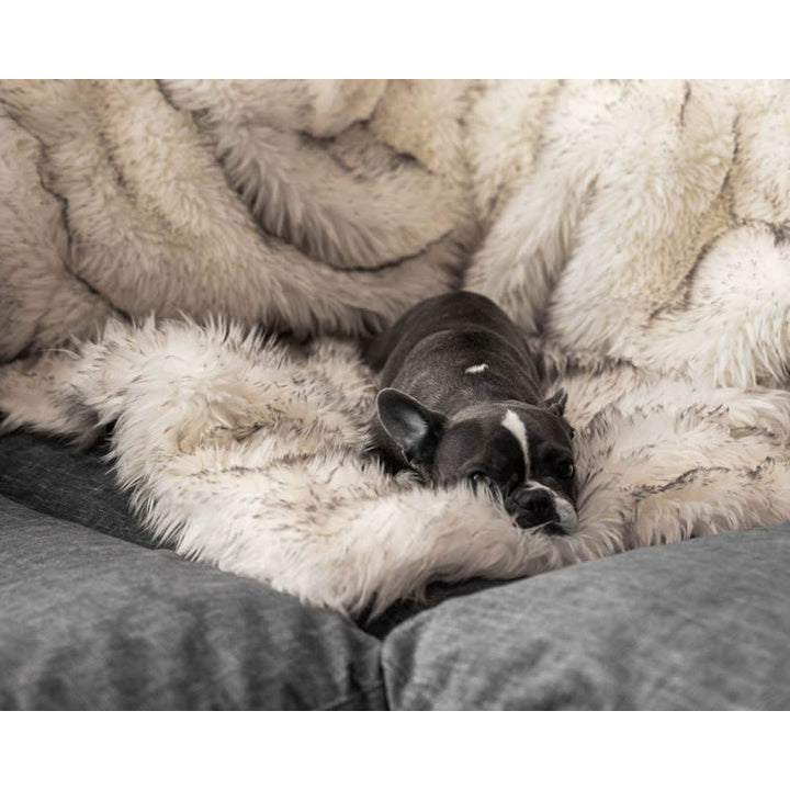 Unisex soft pet blanket with luxurious plush Stornfield