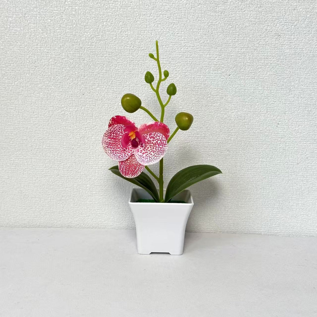 Lifelike Miniature Orchid Plant