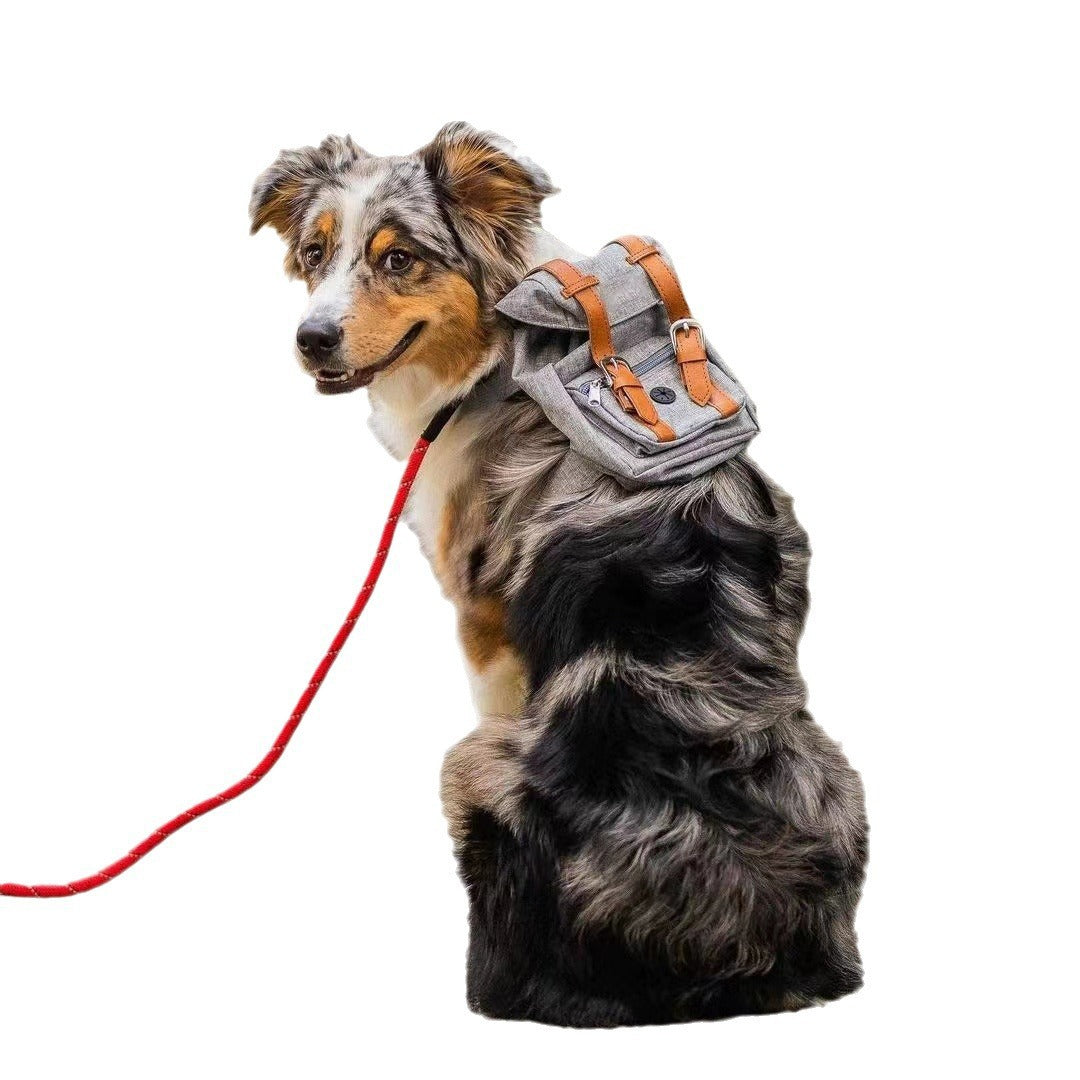 Unisex practical pet backpack with safety closure Stornfield