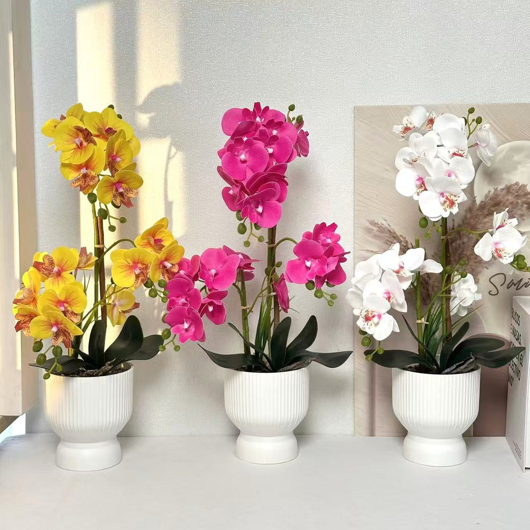 Decorative Orchid Plant Arrangement 1790480695 for Decor