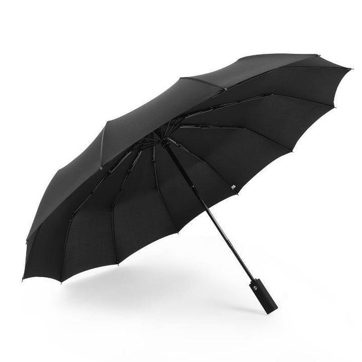 Women's Automatic Umbrella with Wind Resistance and Large Canopy Stornfield