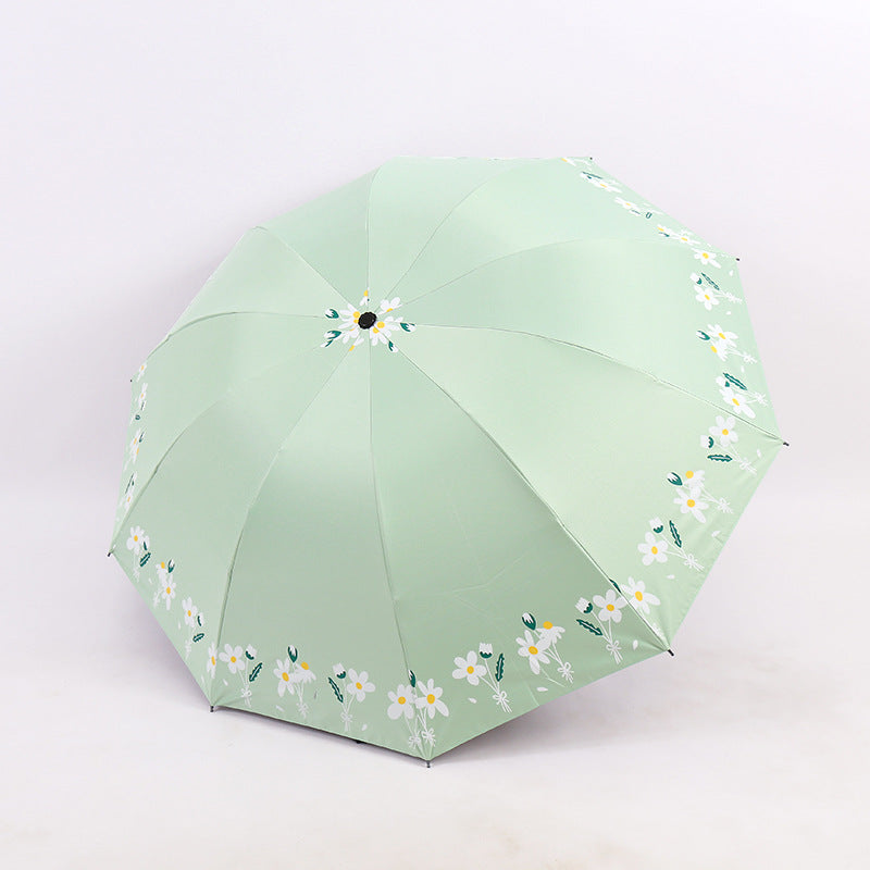 Ladies Umbrella Stornfield