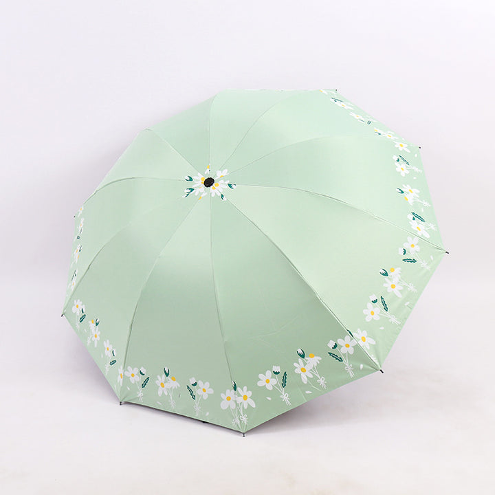 Ladies Umbrella Stornfield