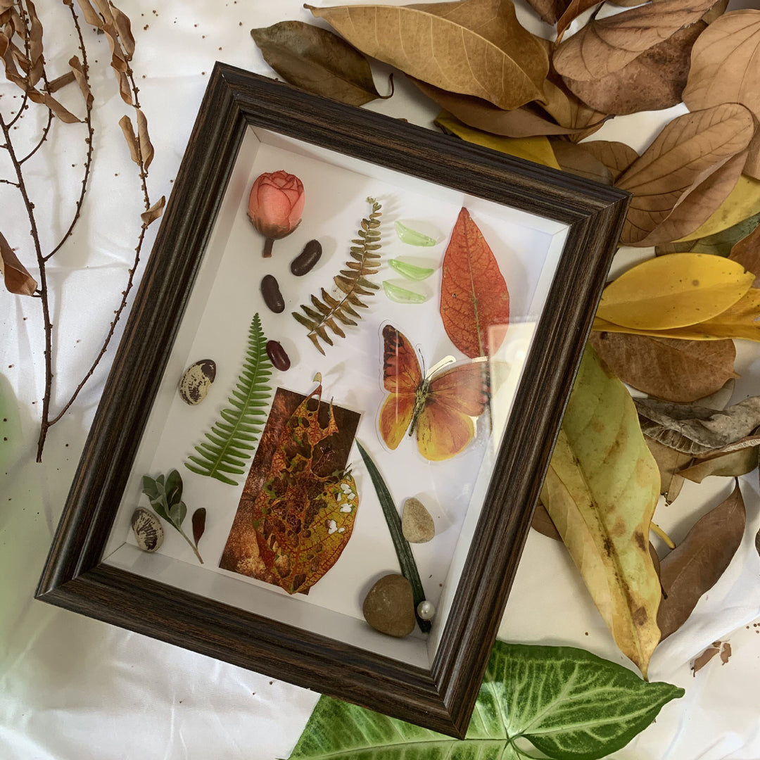 Decorative Botanical Shadow Box Frame