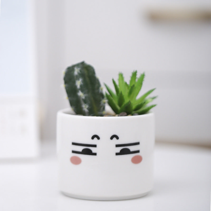 Cute Animal-Themed Succulent Planter Stornfeild