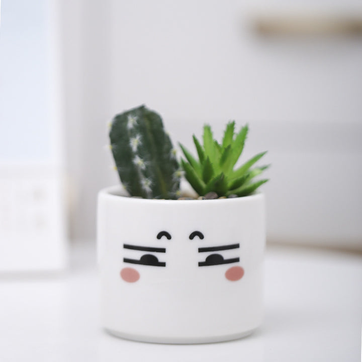 Cute Animal-Themed Succulent Planter Stornfeild