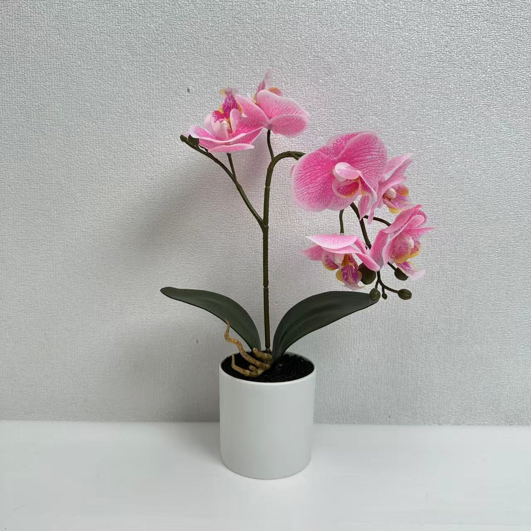Lifelike Phalaenopsis Orchid Plant Arrangement