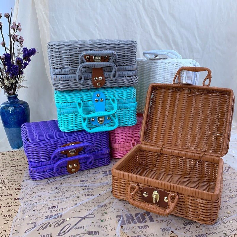 Women braided cosmetic and storage case Stornfield