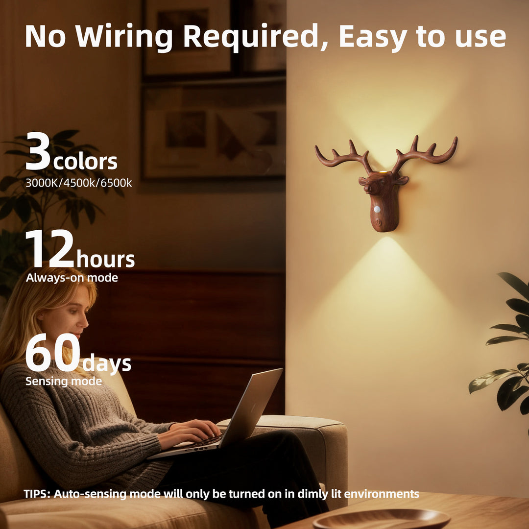 Decorative Wall Night Light