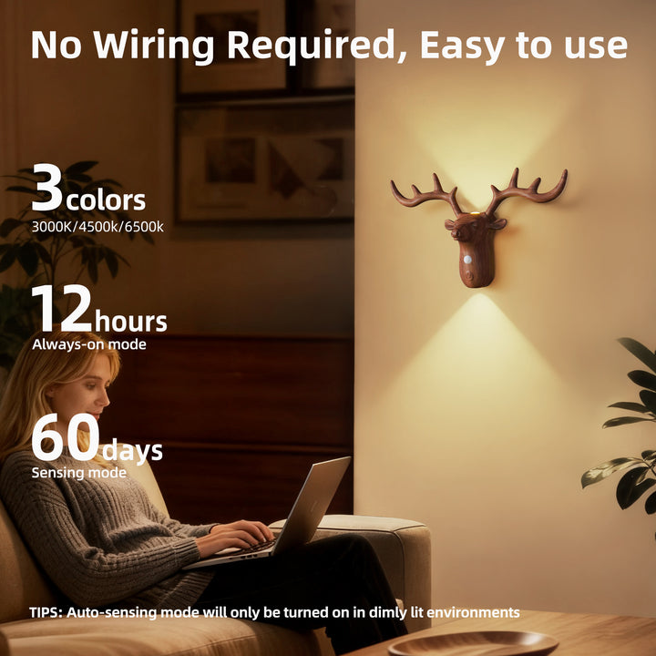 Decorative Wall Night Light