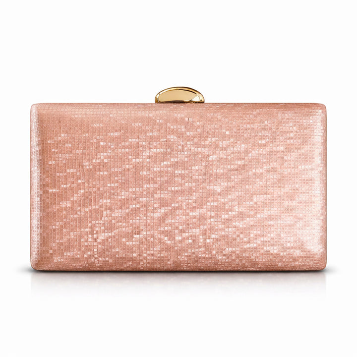 Elegant Evening Clutch