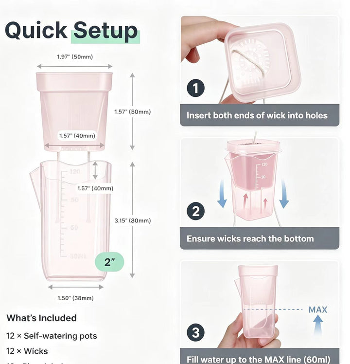 Self-Watering Seed Starter Kit Stornfield