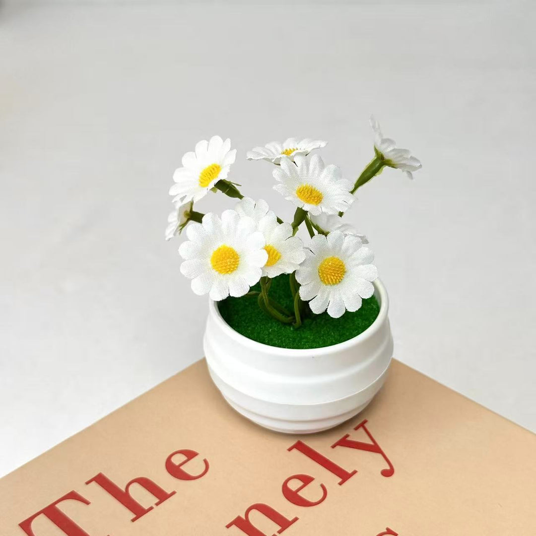 Decorative Daisy Plant Arrangement