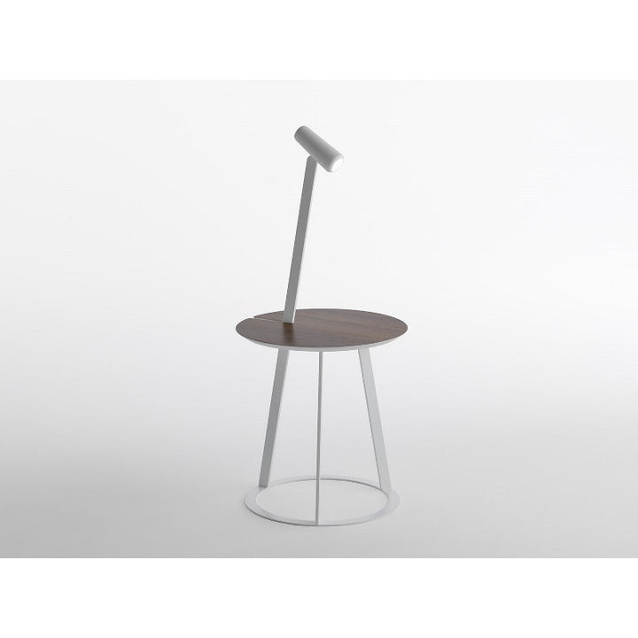 Minimalist Desk Lamp with Adjustable Arm