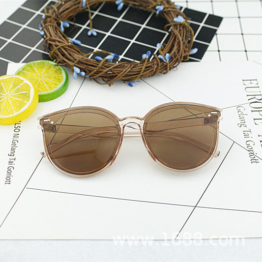 Ladies elegant sunglasses with modern frame Stornfield