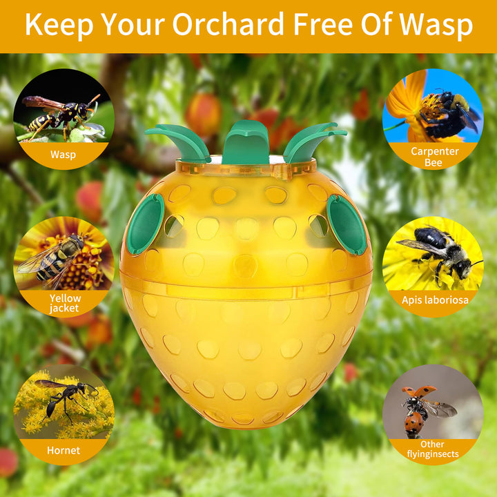 Attractive Insect Trap Stornfield