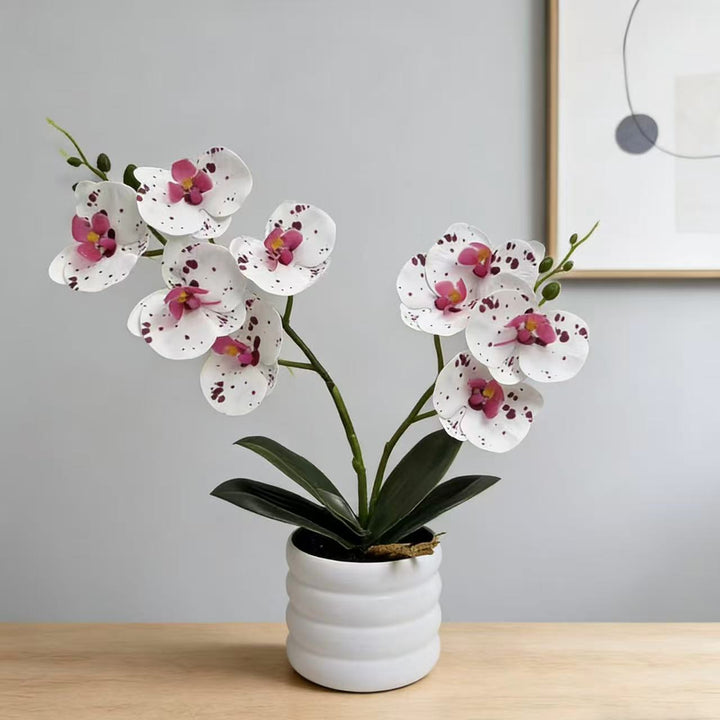 Lifelike Orchid Décor