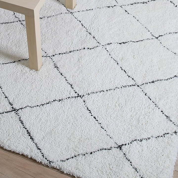 Home Décor Area Rug for Indoor Display
