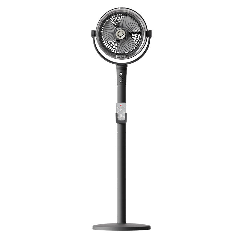 Ladies Stand Fan Stornfield