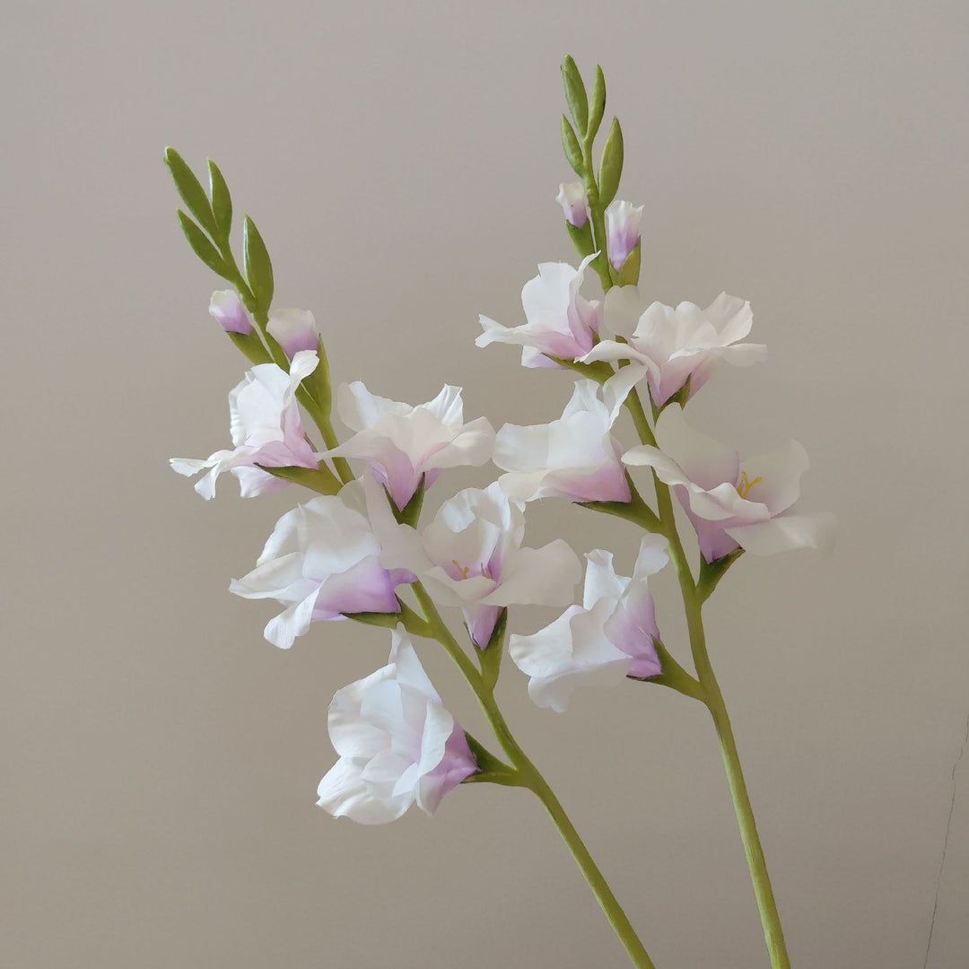 Orchid Floral Stem