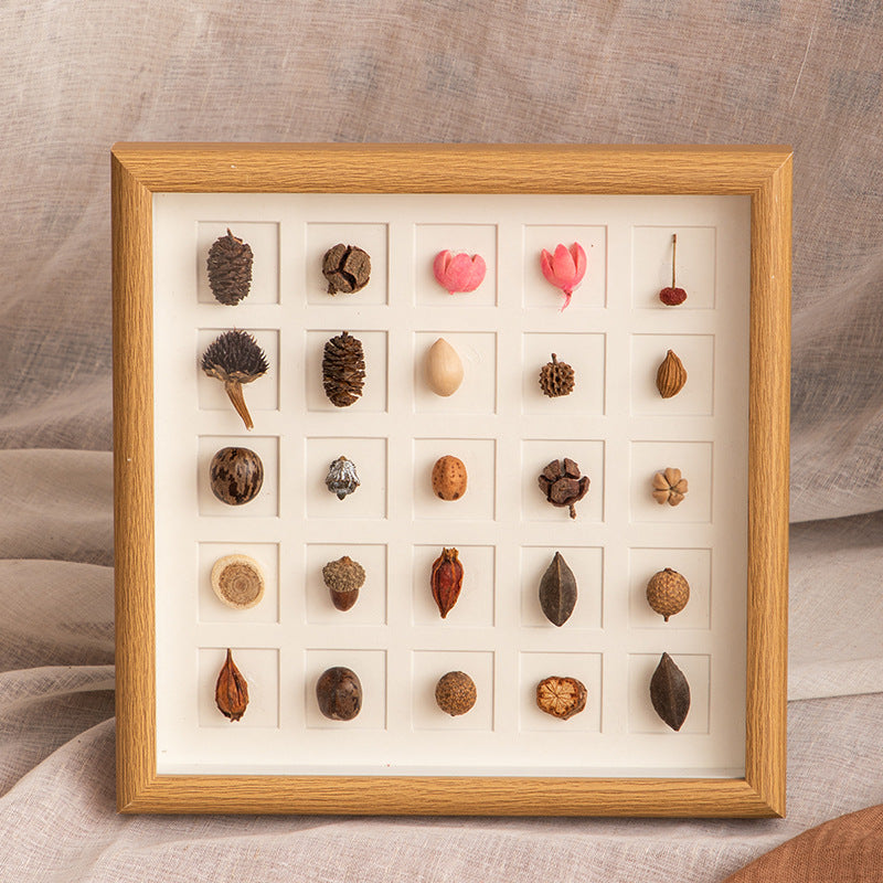 Botanical Specimen Display Frame