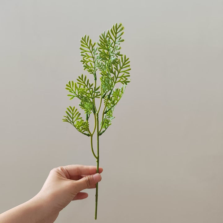Decorative Fern Stem