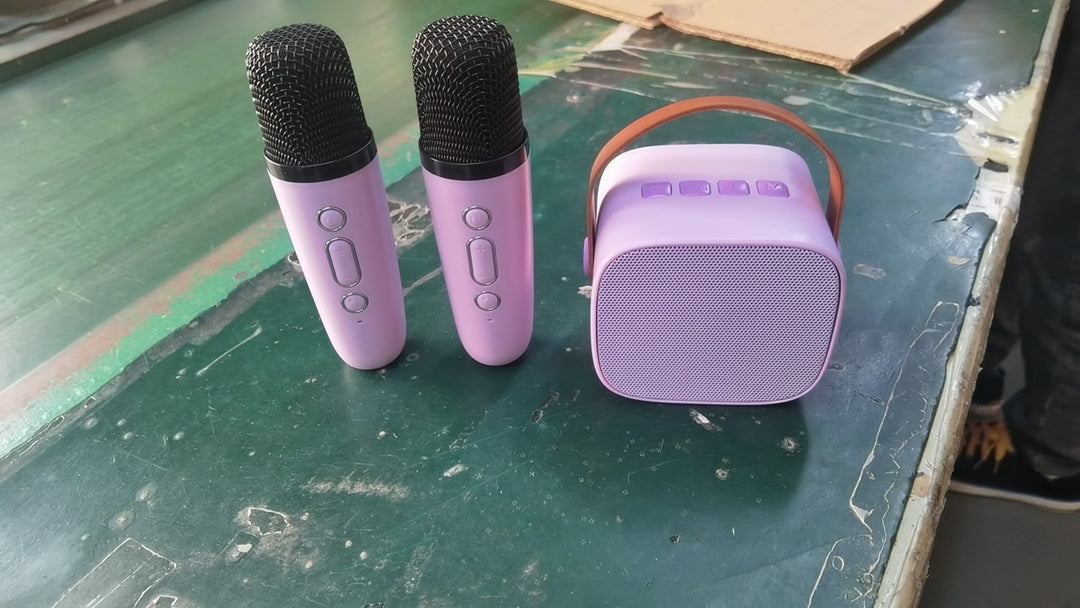 Portable Karaoke Microphone Set Stornfield