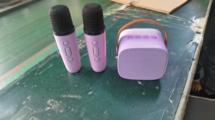 Portable Karaoke Microphone Set Stornfield
