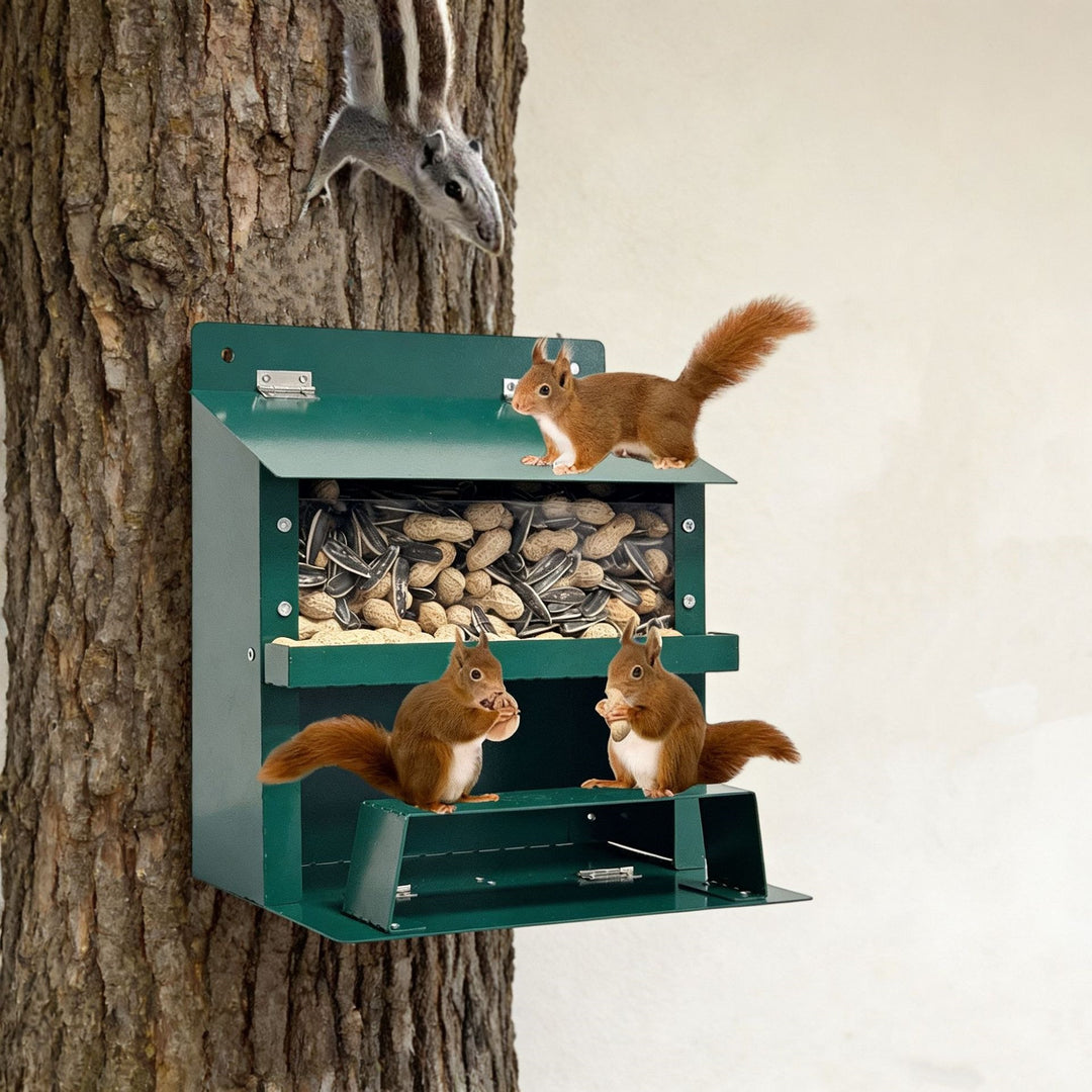 Decorative Wall-Mounted Bird Feeder Stornfield