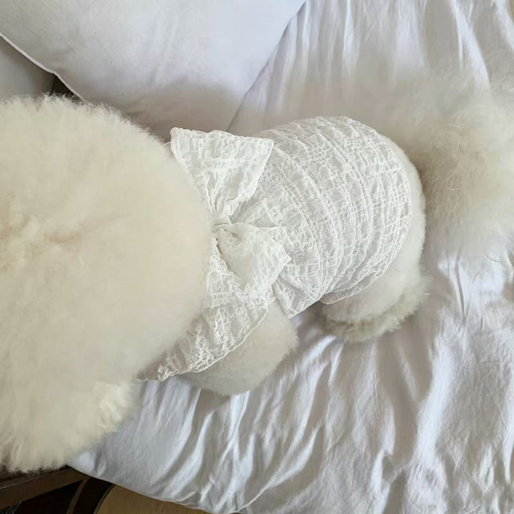 Lace Ruched Pet Dress with Decorative Back